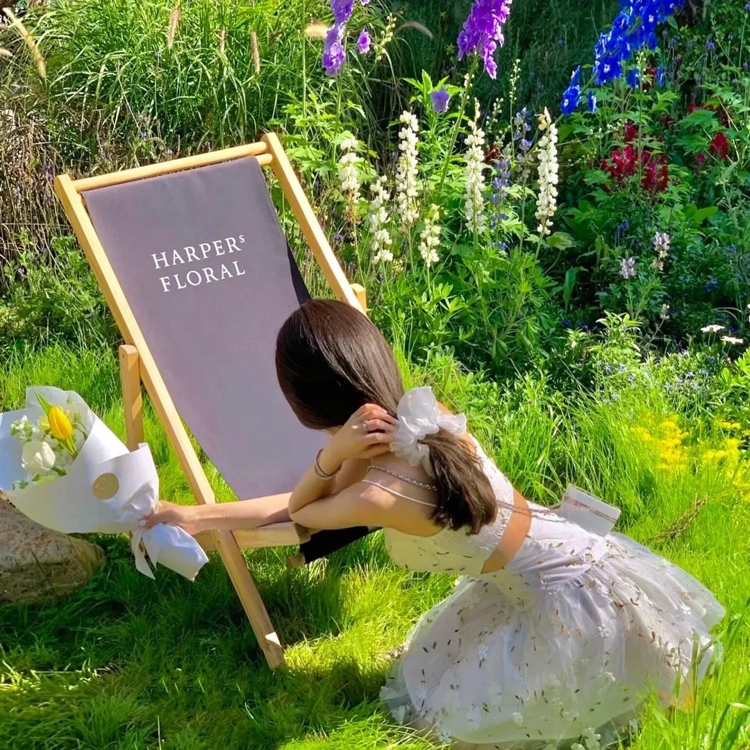 三只松鼠之萌力觉醒