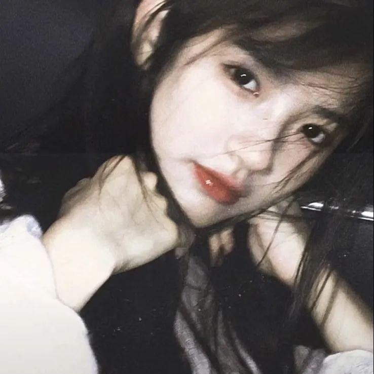 希区柯克与特吕弗国语